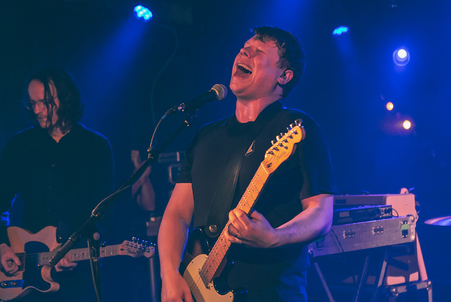 the wombats